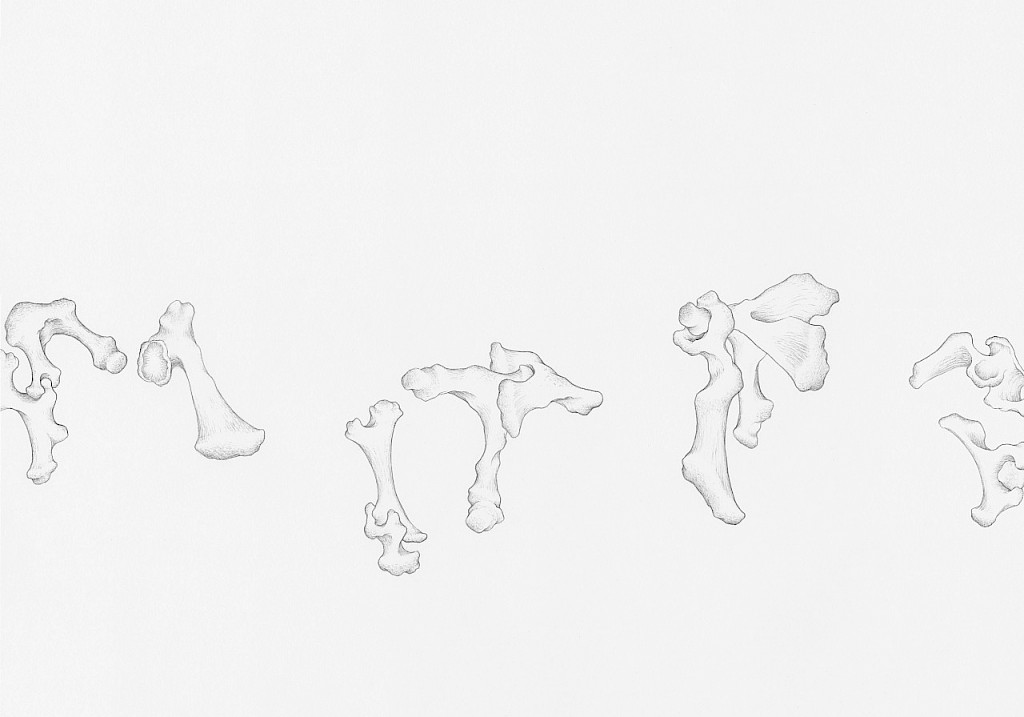 AR TICULATIONS