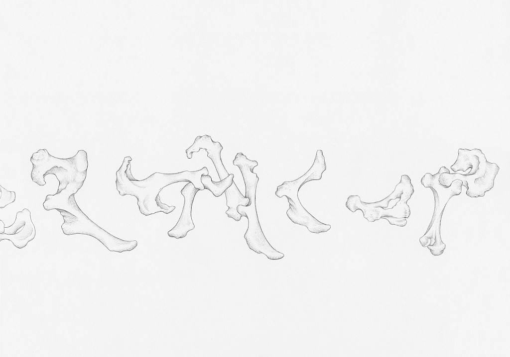 AR TICULATIONS