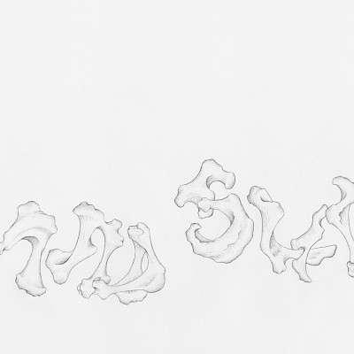 AR TICULATIONS