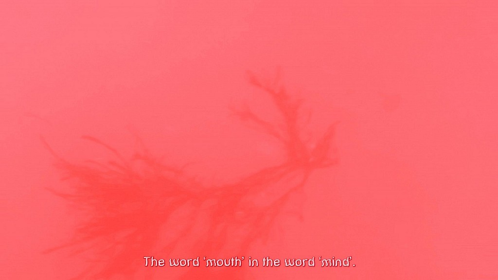No Internal Thing